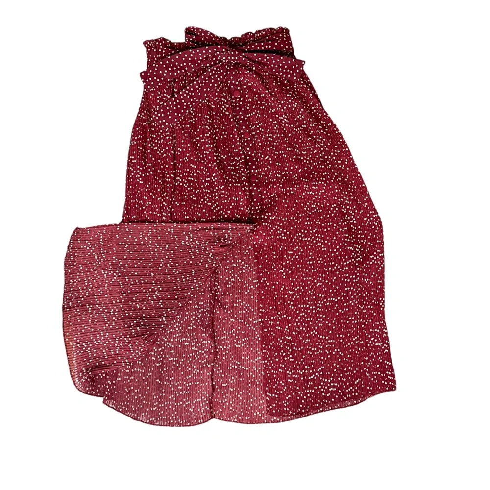 Zara Maxi Skirt Pleated Burgandy with White Polka Dots - Picture 6 of 6